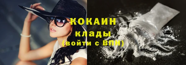 спиды Пересвет