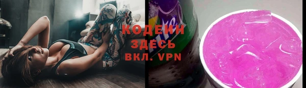 спиды Пересвет