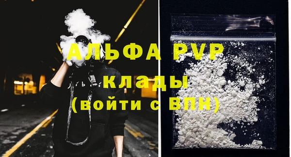 спиды Пересвет