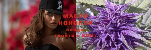 спиды Пересвет